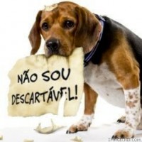 /album/nobre-adestrador-de-c%c3%a3es/a241-n%c3%a3o-descartavel-jpg/